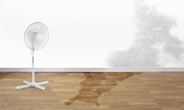 Water damage restoration insurance claims in South Run, VA