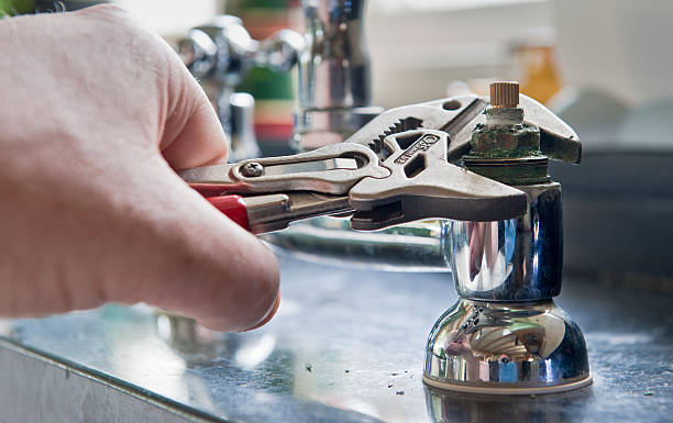 Best Flood damage cleanup  in South Run, VA